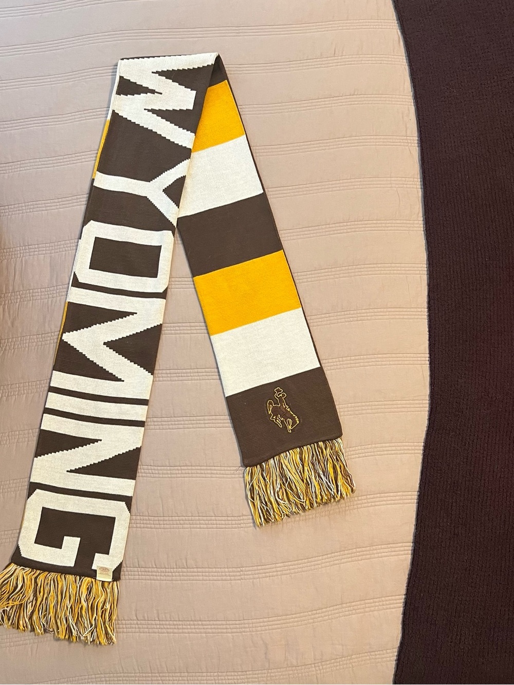 Wyoming Cowboys 47 Brand Brown Yellow White Striped Fringe Scarf College